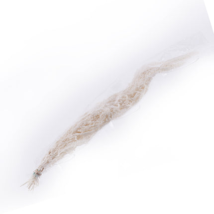 01400001_amaranthus-blanco-40-70-feher