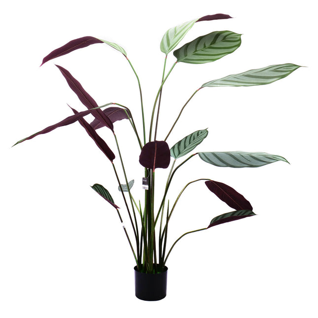 02000111_calathea-cserepben-140cm-mesterseges
