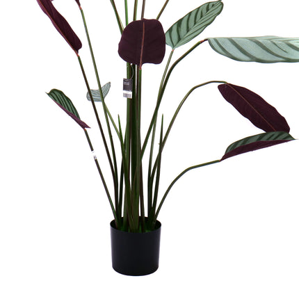 02000111_calathea-cserepben-140cm-mesterseges