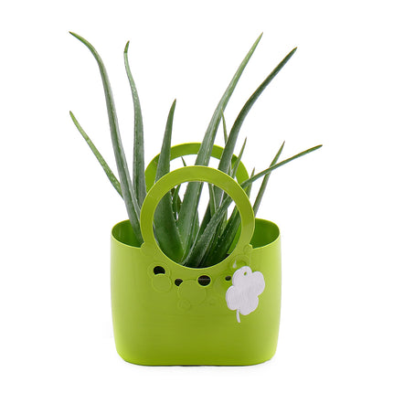 03000014_aloe-vera-muanyag-zacskoban