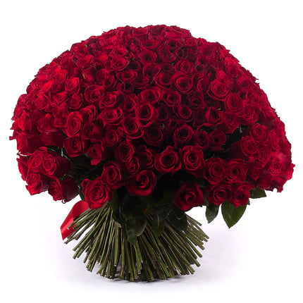 03000019_amore-voros-rozsak-250