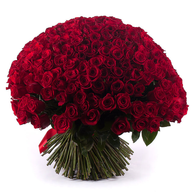 03000019_amore-voros-rozsak-250
