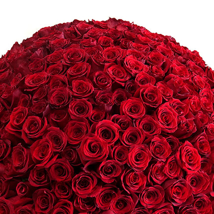 03000019_amore-voros-rozsak-250