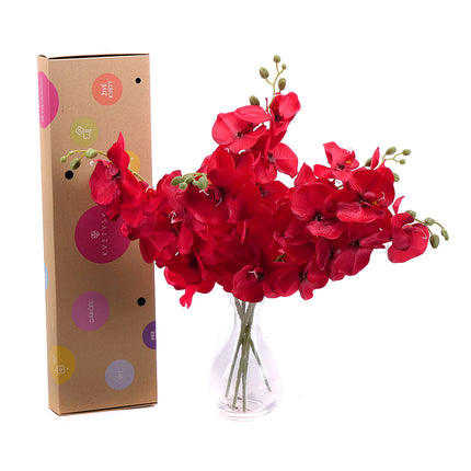 03000452_diy-irigo-muvoros-orchideak-vazaban