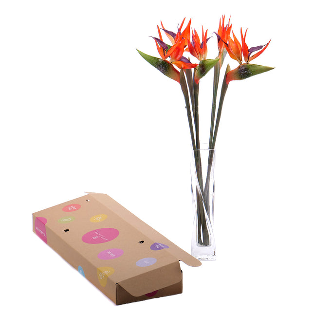 03000459_diy-irigo-mesterseges-streliciak-vazaban
