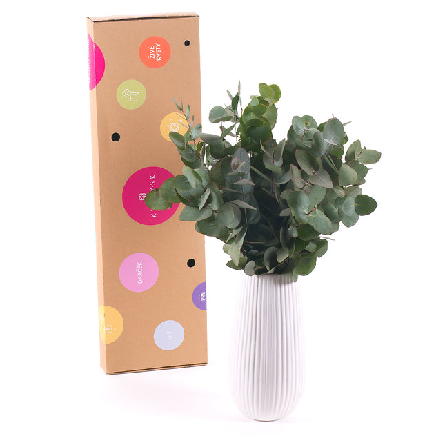 03000467_diy-csokor-eucalyptus-cinerea-vazaban