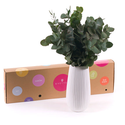 03000467_diy-csokor-eucalyptus-cinerea-vazaban