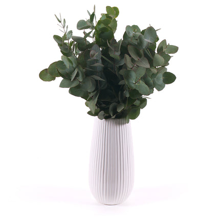 03000467_diy-csokor-eucalyptus-cinerea-vazaban