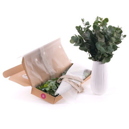 03000467_diy-csokor-eucalyptus-cinerea-vazaban