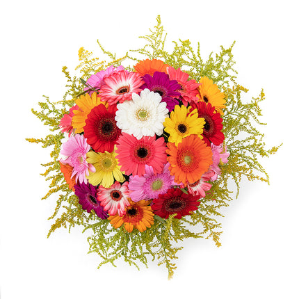 03000594_elit-szinu-gerberak-es-solidago-viragok