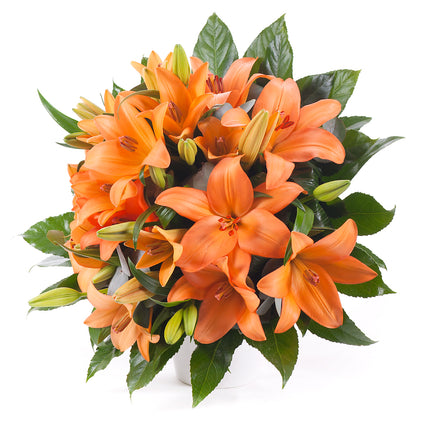 03000604_elit-narancssarga-liliomok