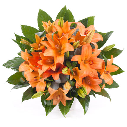 03000604_elit-narancssarga-liliomok