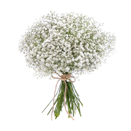 03001073_gypsophila-csokor