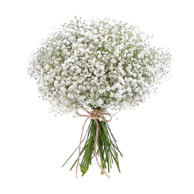 03001073_gypsophila-csokor