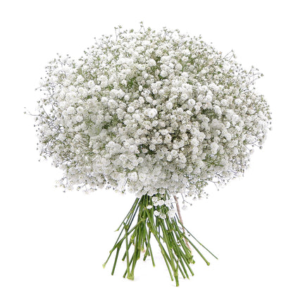 03001073_gypsophila-csokor