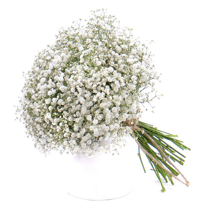 03001073_gypsophila-csokor