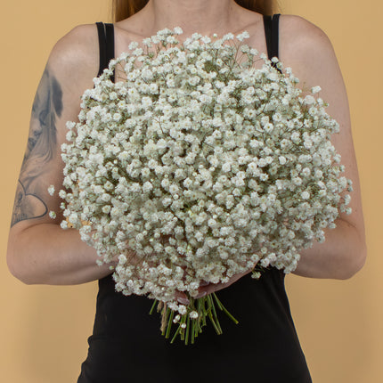 03001073_gypsophila-csokor