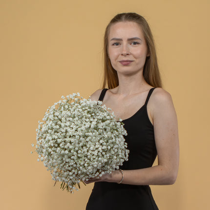 03001073_gypsophila-csokor