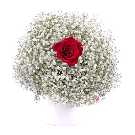 03001074_gypsophila-es-voros-rozsa-csokor