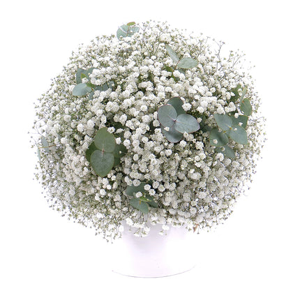 03001075_gypsophila-es-eukaliptusz-csokor