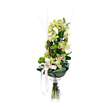 03001345_zold-orchidea-a-magasban