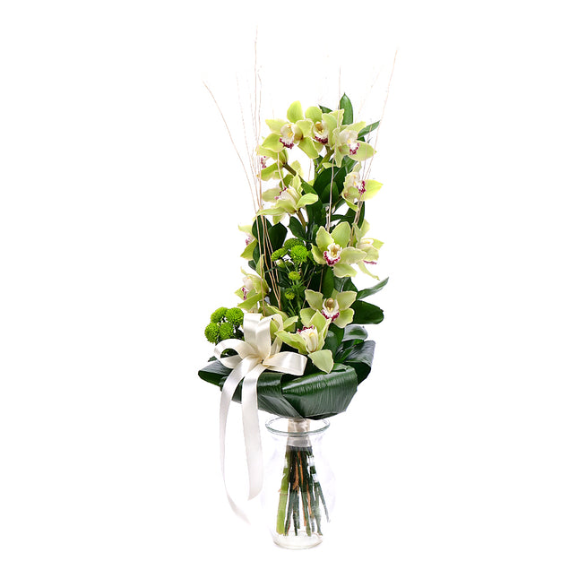 03001345_zold-orchidea-a-magasban