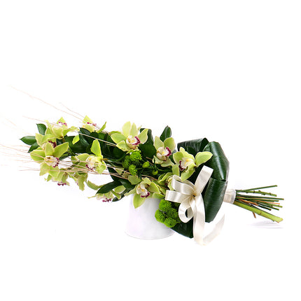 03001345_zold-orchidea-a-magasban