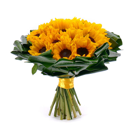 03001366_szenvedely-a-mult-irant