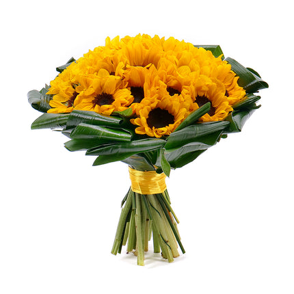 03001366_szenvedely-a-mult-irant