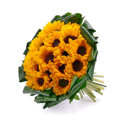 03001366_szenvedely-a-mult-irant
