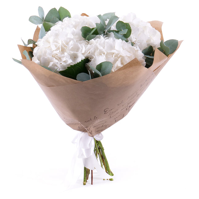 03001505_edes-feher-hortenziak