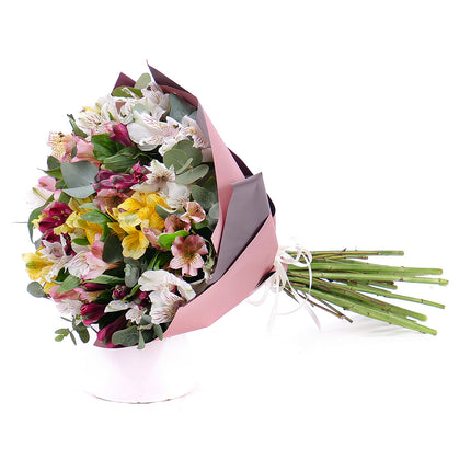 03001560_edes-szines-alstroemeria