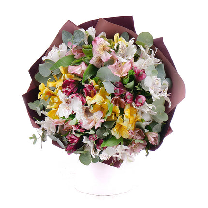 03001560_edes-szines-alstroemeria