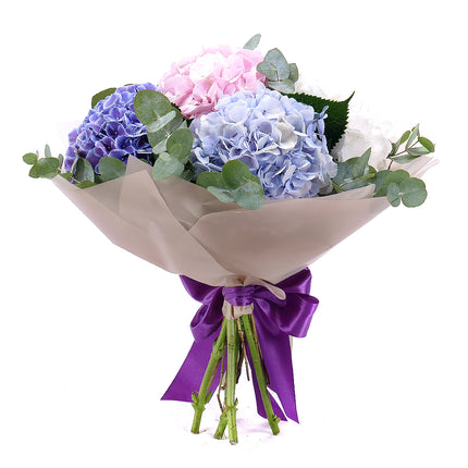 03001565_edes-szines-hortenziak