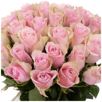 03001862_rozsaszin-rozsak-csokor-pink-atena