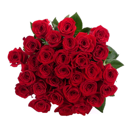 03001941_amore-voros-rozsak-30