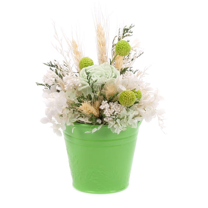 03002067_in-eterno-zold-badogvodor-monalisa-lime-green