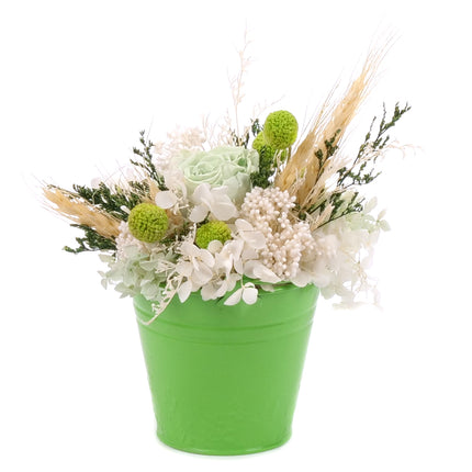 03002067_in-eterno-zold-badogvodor-monalisa-lime-green