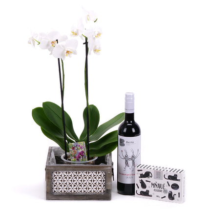 03002116_orchidea-fadobozban-es-berta-bor