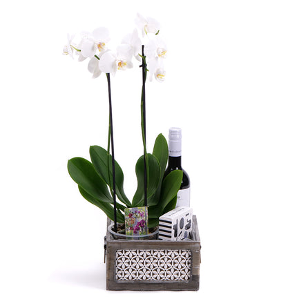 03002116_orchidea-fadobozban-es-berta-bor
