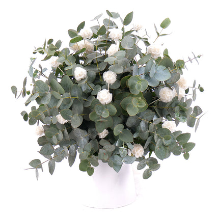 03101203_eukaliptusz-csokor-orok-feher-scabiosa