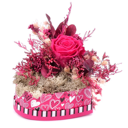 03101537_eterno-ciklamen-sziv-s-keszult-rozsa-monalisa-pink-framboise
