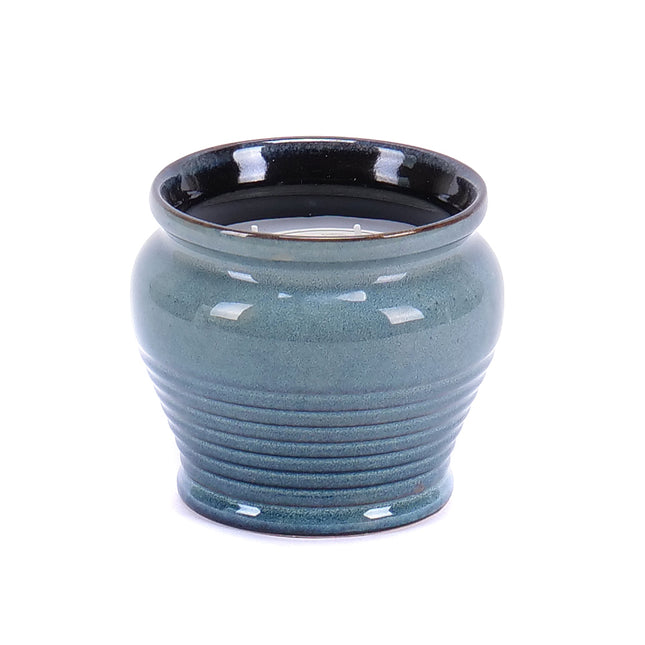 03800254_citronella-gyertyabokor-12-cm